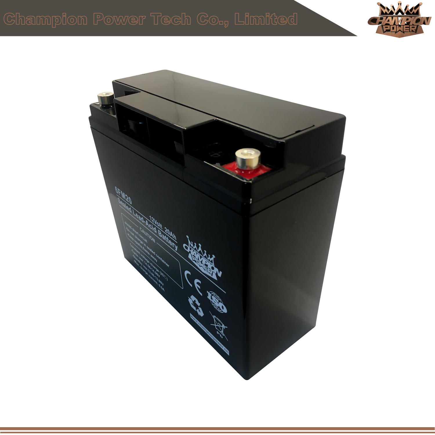 Batterie VRLA 12V20AH pour UPS